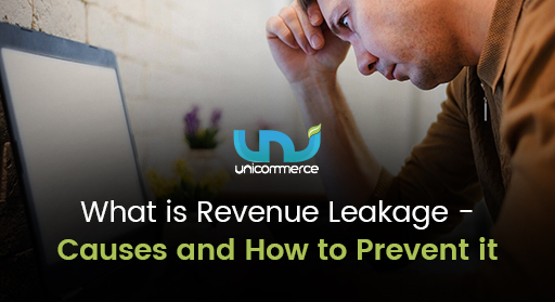 What is Revenue Leakage in E-commerce: Causes and Their Solutions